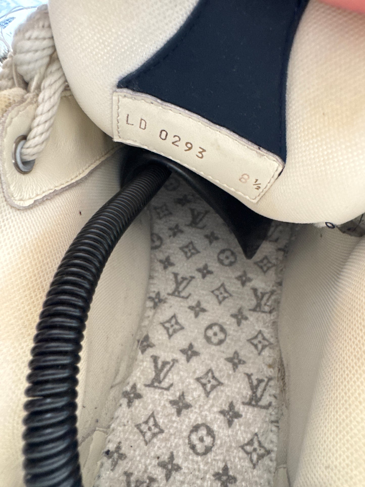 Louis Vuitton Skate Blue