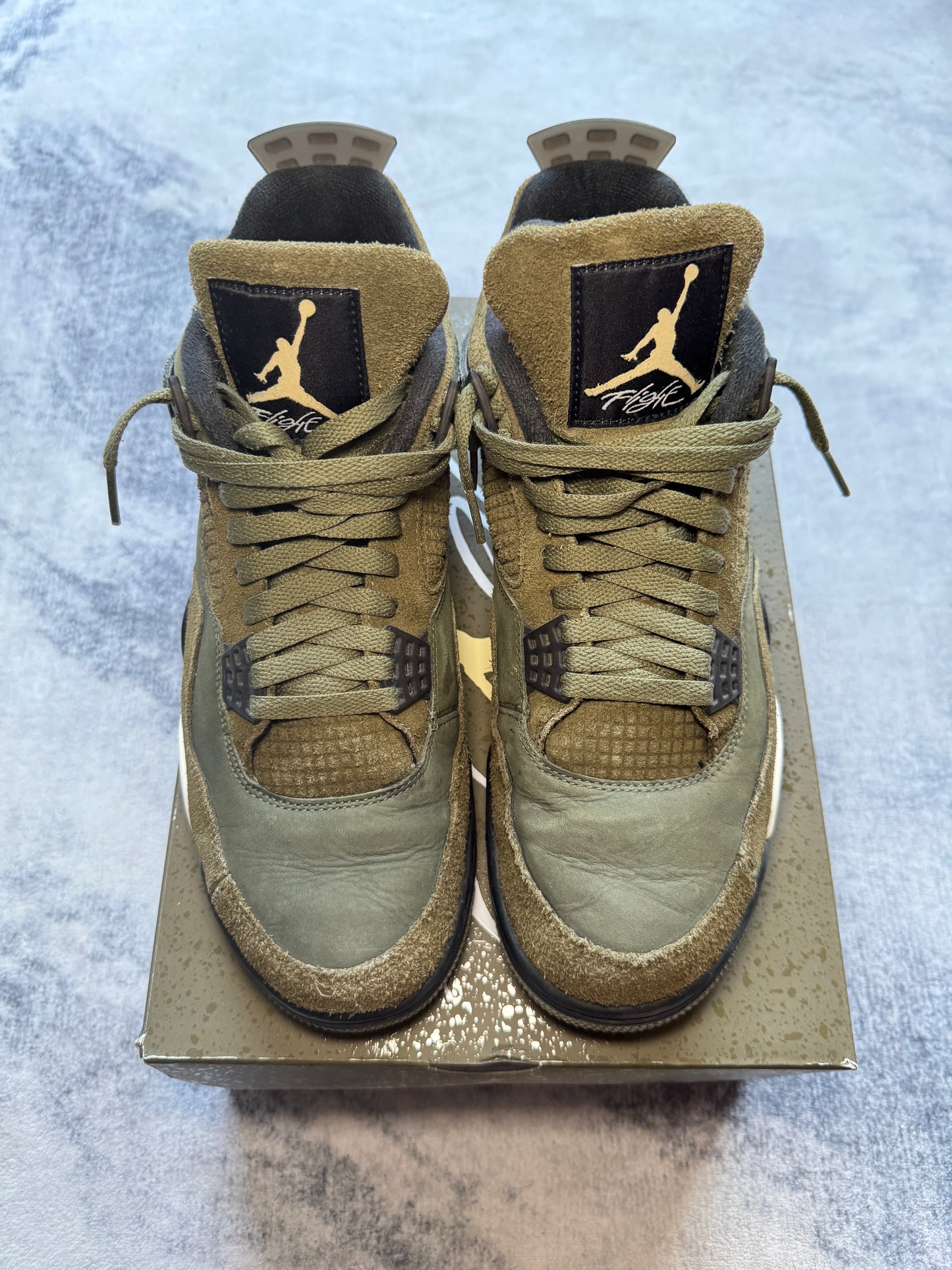 Jordan 4 Olive SE