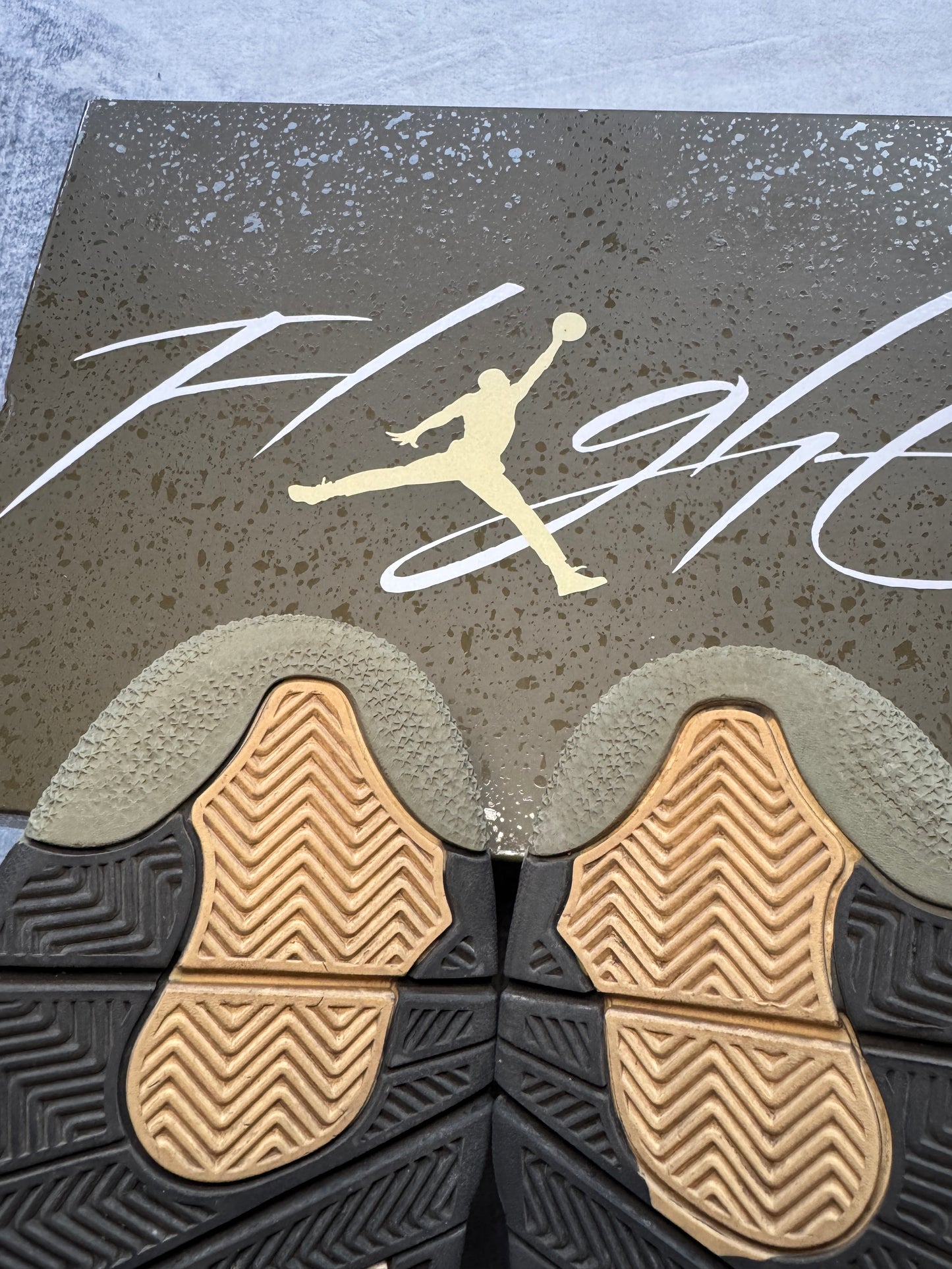 Jordan 4 Olive SE