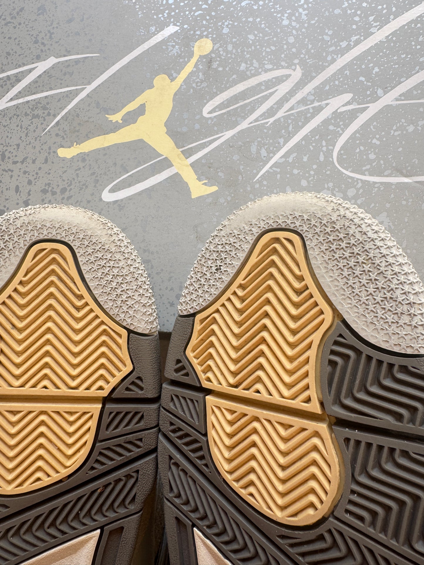 Jordan 4 Craft SE
